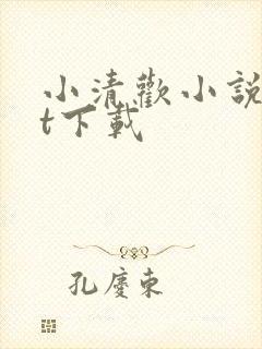 小清欢小说txt下载