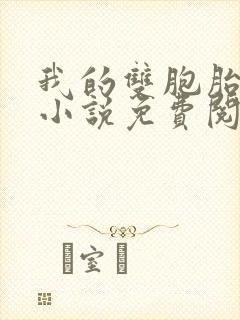 我的双胞胎老婆小说免费阅读