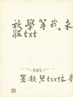 放学等我未删减版txt
