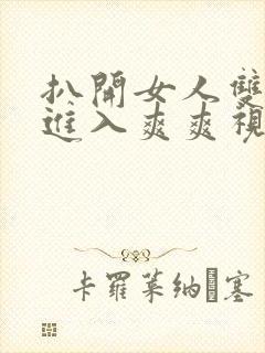 扒开女人双腿猛进入爽爽视频网站