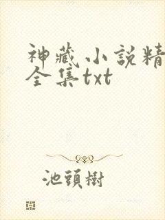 神藏小说精校版全集txt