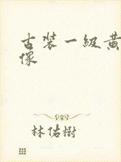 古装一级黄色录像
