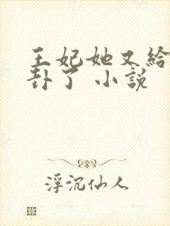 王妃她又给人算卦了 小说