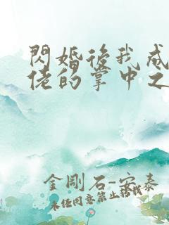 闪婚后我成了大佬的掌中之物全集在线观看