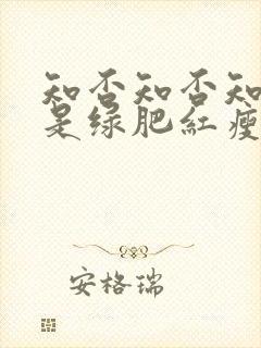 知否知否知否应是绿肥红瘦在线免费观看