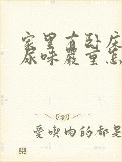 家里有卧床老人尿味严重怎么去味