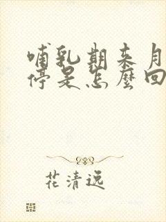 哺乳期来月经不停是怎么回事