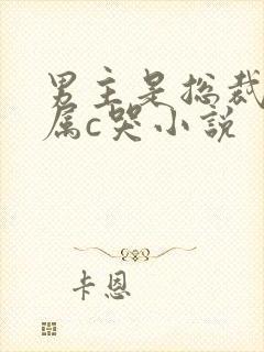 男主是总裁被下属c哭小说