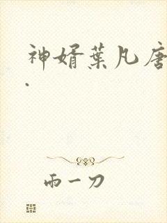 神婿叶凡唐若雪.