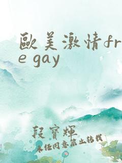 欧美激情free gay
