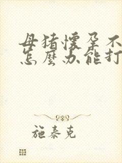 母猪怀孕不吃食怎么办能打针吗