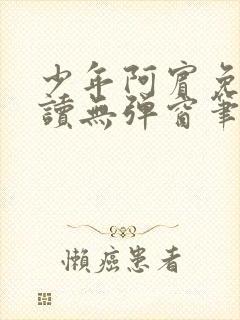 少年阿宾免费阅读无弹窗笔趣阁