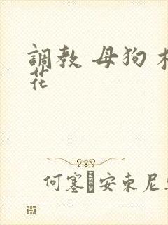 调教 母狗 校花