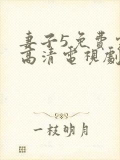 妻子5免费完整高清电视剧在线看中文