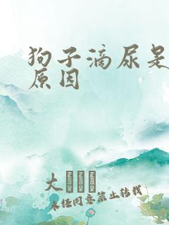 狗子滴尿是什么原因