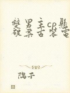 双男主cp悬疑破案古装电视剧