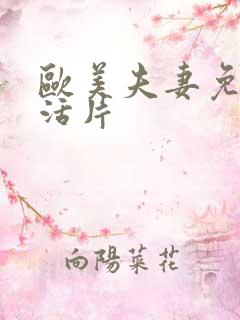 欧美夫妻免费生活片