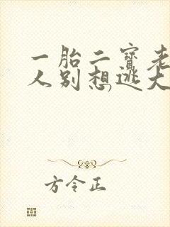 一胎二宝老婆大人别想逃大结局