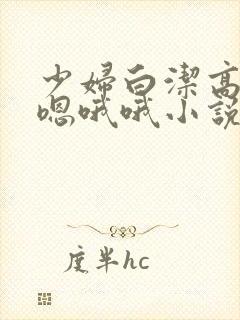 少妇白洁高义嗯嗯哦哦小说