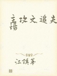 主攻文追夫火葬场