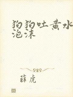 狗狗吐黄水带白泡沫