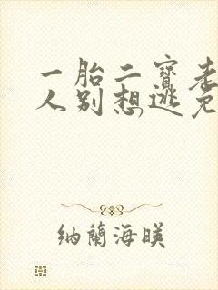 一胎二宝老婆大人别想逃免费阅读