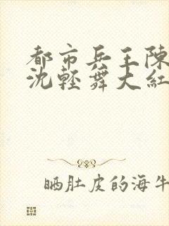 都市兵王陈六何沈轻舞大红大紫