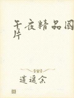 午夜精品国产v片