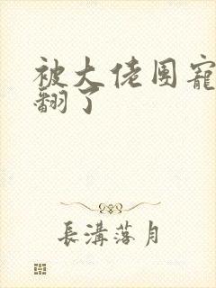 被大佬团宠后野翻了