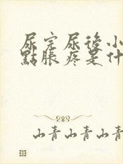 尿完尿后小腹有点胀疼是什么原因