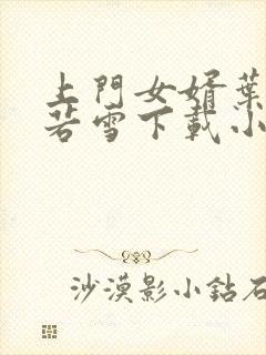 上门女婿叶凡唐若雪下载小说