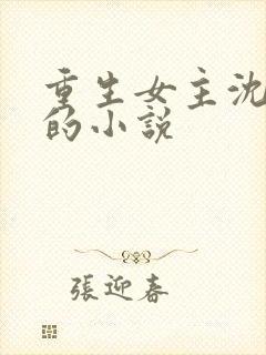 重生女主沈婉宁的小说