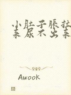 小肚子胀拉不出来尿不出来是什么原因