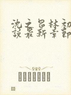 沈之昂林初窈小说最新章节免费阅读