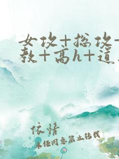 女攻+总攻+调教+高h+道具