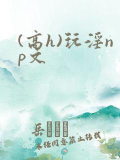 (高h)玩淫np文
