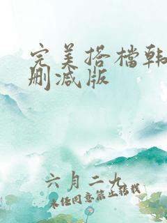 完美搭档韩版未删减版