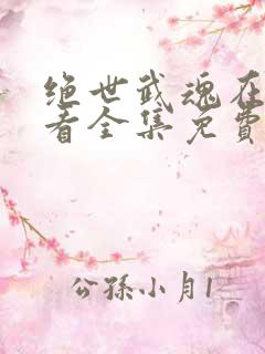 绝世武魂在线观看全集免费播放高清