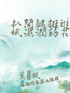 扒开腿挺进娄晓娥湿润的花苞