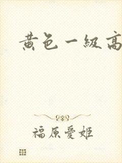 黄色一级高清