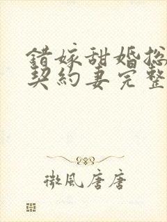 错嫁甜婚总裁的契约妻完整版