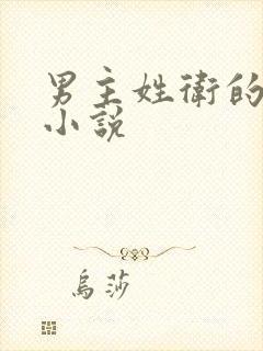 男主姓卫的穿越小说