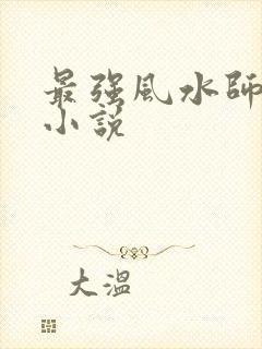 最强风水师陈阳小说