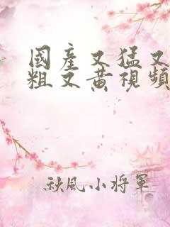 国产又猛又硬又粗又黄视频