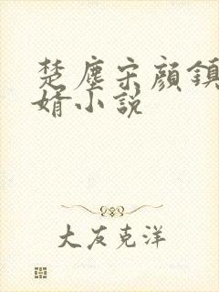 楚尘宋颜镇国神婿小说