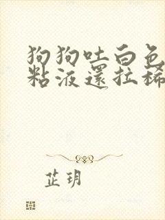 狗狗吐白色泡沫粘液还拉稀怎么回事