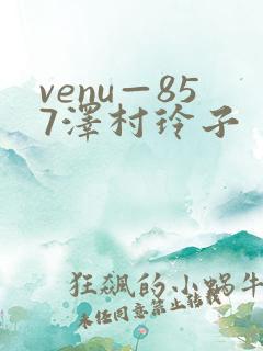 venu—857泽村玲子