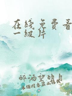 在线免费看欧美一级片