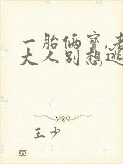 一胎俩宝,老婆大人别想逃小说txt