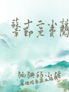 苏十二小说最新章节免费阅读